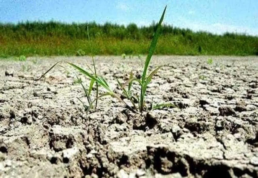 Seceta lovește România! RESTRICȚII la consumul de apă în 141 de localități din mai multe județe