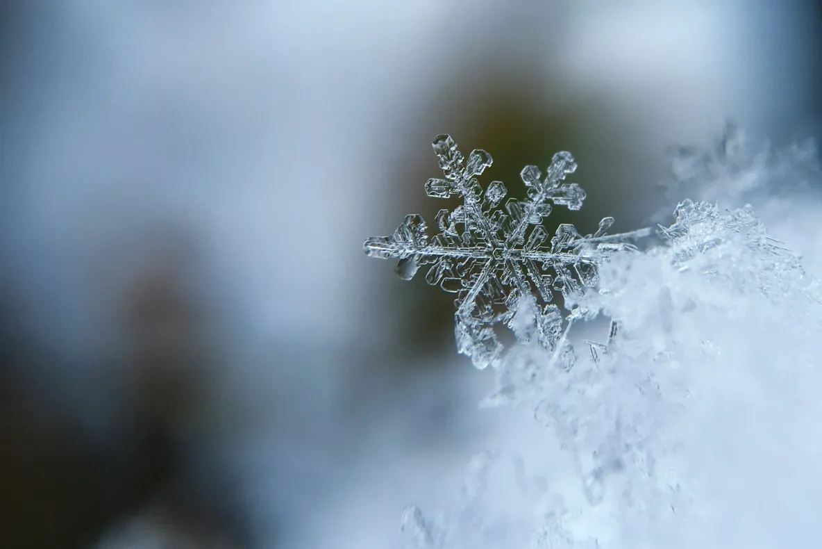 Vortexul polar ar putea suferi o perturbare majoră în noiembrie