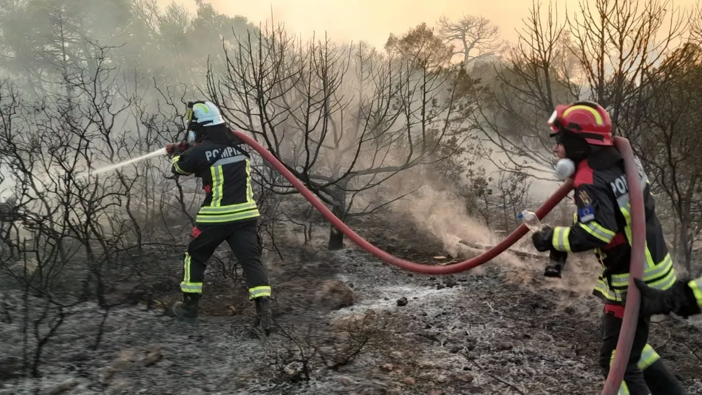 Incendiu de vegetație uscată în Alba Iulia: cinci autospeciale și 20 de pompieri la intervenție