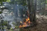  Incendiu de proporții în zona Muntelui Giurgiu, județul Vrancea. Flăcările au cuprins 10 hectare de pădure