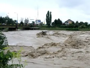FOTO: Arhivă