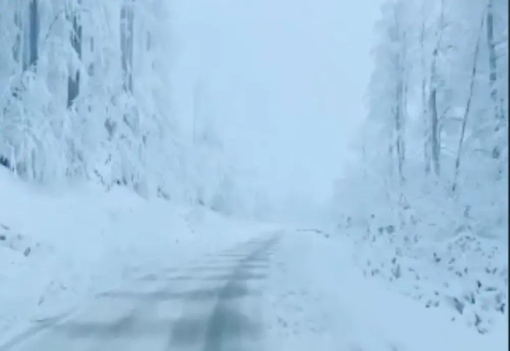 Vreme schimbătoare toată săptămâna! Se anunță ninsori viscolite, vânt cu rafale de până la 120 km/oră și polei