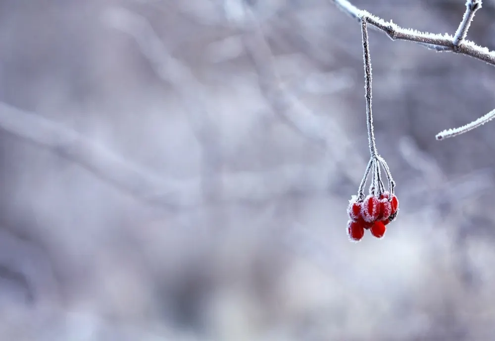 Cum va fi vremea în următoarele 2 săptămâni? Anunțul meteorologilor