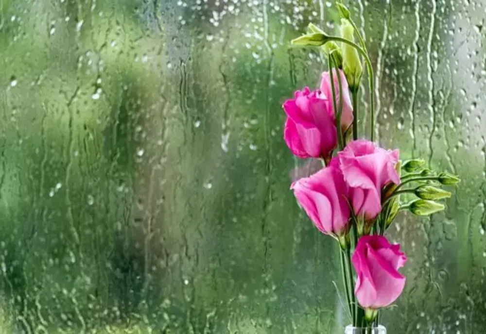 Prognoza meteo pentru următoarele zile. Cum va fi vreme după Paști