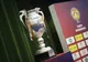 Fotbal / Victorii pentru CFR Cluj, FC Voluntari și 'U' Cluj în prima etapă a Cupei României