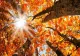 Prognoza meteo pe o lună: schimbări dramatice în septembrie. Zonele unde se instalează toamna