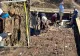 Descoperire arheologică uriașă. Cum se trăia în România acum 6.000 de ani: fără lideri, fără elite, sistem social egalitar