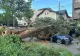 Procedura legală în cazul mașinilor fără CASCO, avariate de furtună. Cum se obțin despăgubirile de la administrația locală